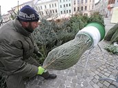 Vánoční stromky z plantáží prodávají u většiny velkých obchodních řetězů, v... Vánoční stromky z plantáží prodávají u většiny velkých obchodních řetězů, v...
