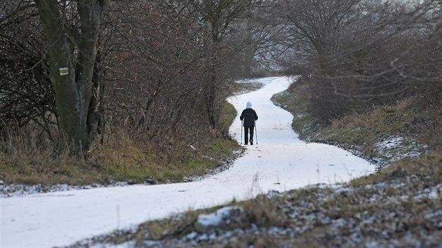 Nkterm obyvatelm Pelhimova vad, e z okol msta zmizel dal kus pirozen krajiny. A e poln cestu vyuvanou cyklisty, bci i pmi nov zmnila dr.