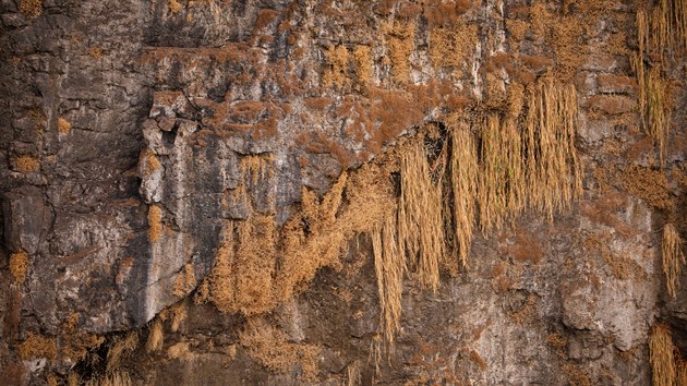 Na mst je v souasn chvli nezvykle vidt velk st kamenn stny, pes kterou za normlnch okolnost na kilometrov ce pad eka Zambezi do vce ne 100 metr hlubokho kaonu. (5. prosince 2019).