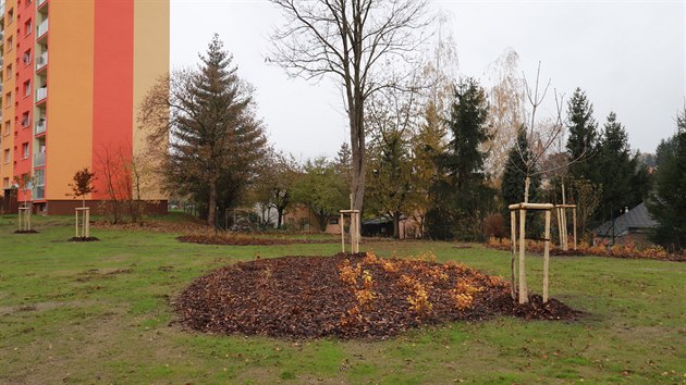 Nov park se nachz na mst loni zbouran
ubytovny, ternn pravy probhly v z, nsledovalo zaloen trvnk a vsadba zelen.