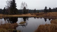 Perninské rašeliniště. Perninské rašeliniště.