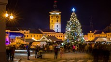Na českobudějovickém náměstí Přemysla Otakara II. svítí vánoční jedle. (1.... Na českobudějovickém náměstí Přemysla Otakara II. svítí vánoční jedle. (1....