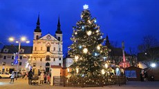 Vánoní strom na Masarykov námstí v Jihlav.