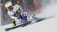 Gabriela Capová v obřím slalomu Světového poháru v americkém Killingtonu Gabriela Capová v obřím slalomu Světového poháru v americkém Killingtonu