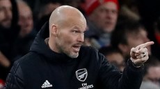 Freddie Ljungberg usmruje hráe Arsenalu.