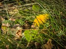 Fotka ze včerejší procházky, kdy bylo asi +10°C a den díky počasí vůbec polovinu prosince nepřipomínal, spíš naopak. Fotka ze včerejší procházky, kdy bylo asi +10°C a den díky počasí vůbec polovinu prosince nepřipomínal, spíš naopak.
