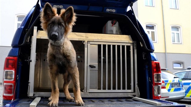 Nové vozy ocení i policejní psi. Nové vozy ocení i policejní psi.