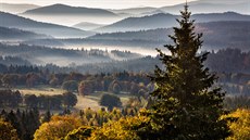 Bučina, jedna ze zaniklých vysídlených pohraničních obcí. Bučina, jedna ze zaniklých vysídlených pohraničních obcí.