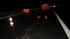 Dopravní nehody s divokým prasetem na dálnici D11 (8. 12. 2019) Dopravní nehody s divokým prasetem na dálnici D11 (8. 12. 2019)