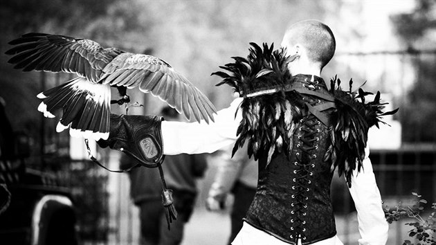 Motto kalendáře je Vítěz bere všechno a poukazuje na závažnost a vysokou úmrtnost u onkologických nemocí.