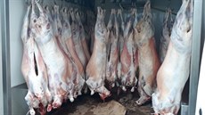 Turci v rakouské dodávce v nevyhovujících hygienických podmínkách převáželi... Turci v rakouské dodávce v nevyhovujících hygienických podmínkách převáželi...