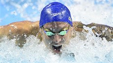 Caeleb Dressel ve finále mezinárodní plavecké ligy ISL v krátkém bazénu v Las... Caeleb Dressel ve finále mezinárodní plavecké ligy ISL v krátkém bazénu v Las...