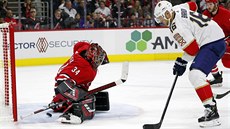 Aleksander Barkov z Floridy překonává Petra Mrázka v brance Caroliny. Aleksander Barkov z Floridy překonává Petra Mrázka v brance Caroliny.