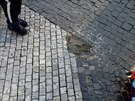 TSK nebo nějaký amatér svérázně zaplácl díru v chodníku na Můstku betonovou směsí, do níž lidé s odporem šlapali jako by to byl exkrement. TSK nebo nějaký amatér svérázně zaplácl díru v chodníku na Můstku betonovou směsí, do níž lidé s odporem šlapali jako by to byl exkrement.