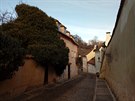 Několik let neobydlený a pustnoucí dům na Novém Světě na Hradčanech zamořil břečťan. Prý zde také straší. Několik let neobydlený a pustnoucí dům na Novém Světě na Hradčanech zamořil břečťan. Prý zde také straší.