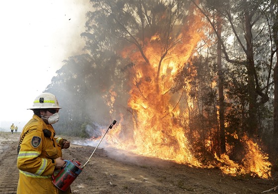 Australtí hasii bojují s poáry nedaleko Tomerongu. (8. ledna 2020)