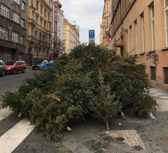 V Holeovicích - Bubnech vznikla po vánocích ze stromk obrovitá hromada.