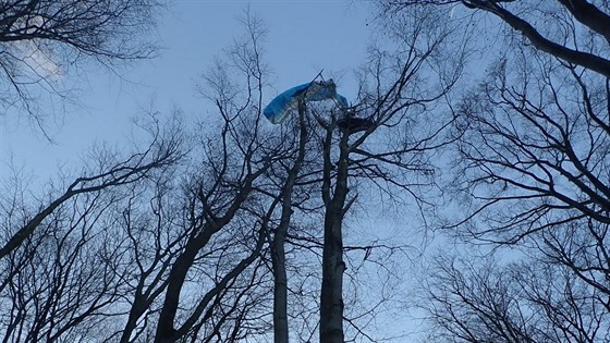 Záchrana paraglidisty z koruny asi ticetimetrového stromu u Chvalova na...