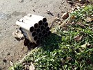 Vybouchaná pyrotechnika v Praze 10-Strašnicích po bujaré oslavě příchodu Nového roku 2020. Vybouchaná pyrotechnika v Praze 10-Strašnicích po bujaré oslavě příchodu Nového roku 2020.