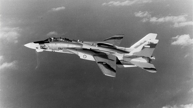 F-14 rnskho letectva ped islmskou revoluc v roce 1979