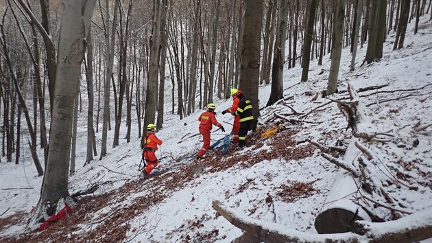 Zchrana paraglidisty z koruny asi ticetimetrovho stromu u Chvalova na Kromsku.