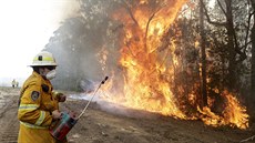 Australtí hasii bojují s poáry nedaleko Tomerongu. (8. ledna 2020)