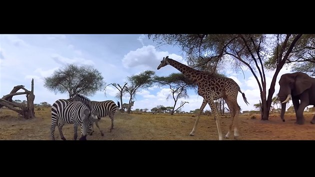 V Brně otevřou virtuální zoo, první ve střední Evropě V Brně otevřou virtuální zoo, první ve střední Evropě
