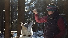Štěpánka Kadlecová několik let žila v zahraničí. Když se kvůli podnikání... Štěpánka Kadlecová několik let žila v zahraničí. Když se kvůli podnikání...