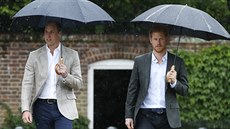 Princ William a princ Harry (Londýn, 30. srpna 2017)