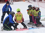 Převážná část je ze sportovních škol. Jsou to pedagogové, studenti, učí tady i... Převážná část je ze sportovních škol. Jsou to pedagogové, studenti, učí tady i...