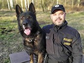 Zloděje nafty schovaného v listí našel služební pes Adag. Zloděje nafty schovaného v listí našel služební pes Adag.