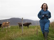 Záběr z filmu Daleko od Reykjavíku Záběr z filmu Daleko od Reykjavíku