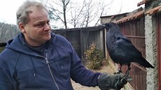 Krkavci patří k oblíbeným miláčkům, kteří nechybějí v každé druhé pohádce. Krkavci patří k oblíbeným miláčkům, kteří nechybějí v každé druhé pohádce.