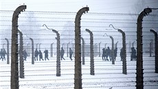 Návštěvníci procházejí prostory Osvětimi krátce před 70. výročím osvobození... Návštěvníci procházejí prostory Osvětimi krátce před 70. výročím osvobození...