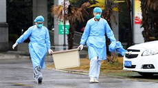 Zdravotníci z wu-chanské nemocnice, kde se léí pacienti s pneumonií zpsobenou...