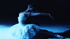 Classical Russian Ballet - Labutí jezero Classical Russian Ballet - Labutí jezero