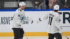 Tomá Hertl a Ane Kopitar slaví gól pi Utkání hvzd NHL.