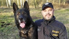 Zloděje nafty schovaného v listí našel služební pes Adag. Zloděje nafty schovaného v listí našel služební pes Adag.