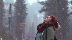 Ilustrační fotografie Ilustrační fotografie