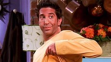 David Schwimmer v seriálu Přátelé David Schwimmer v seriálu Přátelé