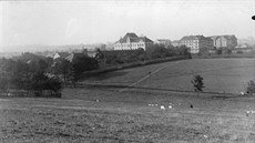 Zelí a Strašnice. V roce 1900 Strašnice vyhlížely jako převážně venkovská obec... Zelí a Strašnice. V roce 1900 Strašnice vyhlížely jako převážně venkovská obec...