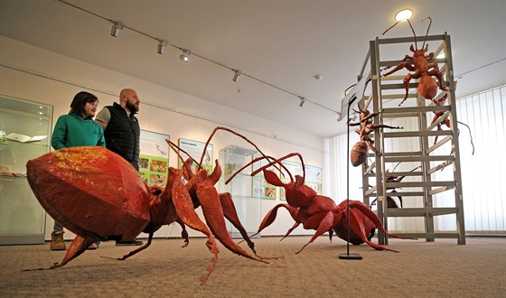 Na jihlavské výstav upoutají návtvníky obí plastiky mravenc, které na...