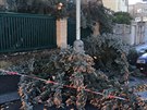 Dobrý den, před vichřicí neobstál ani letitý vzrostlý smrk, kolem kterého chodím každé ráno do práce. Jít o pár minut dříve... Dobrý den, před vichřicí neobstál ani letitý vzrostlý smrk, kolem kterého chodím každé ráno do práce. Jít o pár minut dříve...