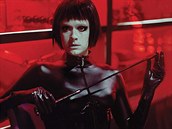 Z plakátu filmu Psi nenosí kalhoty Z plakátu filmu Psi nenosí kalhoty