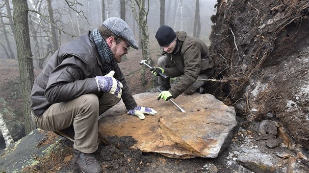 Zdokumentování a přenesení nálezu do muzejní sbírky bylo možné především díky správnému postupu návštěvníka, který nález ohlásil.