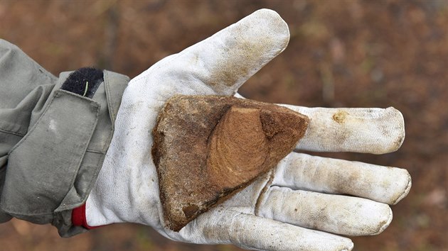 Svůj objev turista ohlásil správě přilehlého národního parku České Švýcarsko. Její pracovníci ve spolupráci s geoložkou ústeckého muzea nález zdokumentovali.