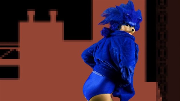 Sonic Porn Parody: "Sonic the Vadgehog"