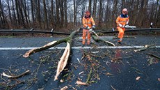 Popadané stromy omezily provoz na německé dálnici A7 u Hildesheimu. (10. února... Popadané stromy omezily provoz na německé dálnici A7 u Hildesheimu. (10. února...