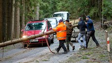 Řidiči odklízejí strom padlý přes silnici mezi Špičáckým sedlem a Hojsovou... Řidiči odklízejí strom padlý přes silnici mezi Špičáckým sedlem a Hojsovou...