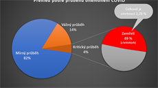 Pehled podle prbhu onemocnní. Celkem 4 % pacient mlo kritický prbh...